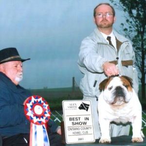 BIS - Day 1, Bulldog