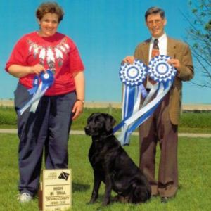 HIT - 1, Labrador Retriever