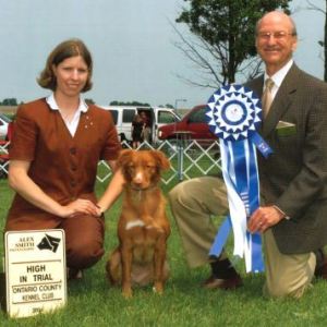HIT - 1, Nova Scotia Duck Tolling Retriever