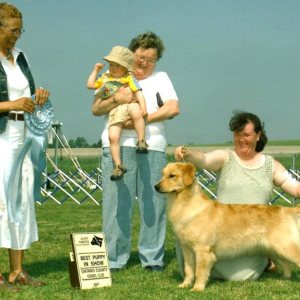 BPIS - Day 2, Golden Retriever