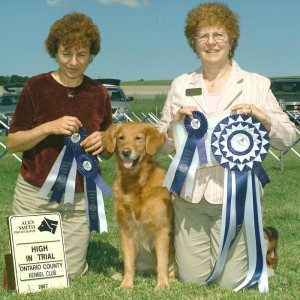 HIT - 1, Golden Retriever