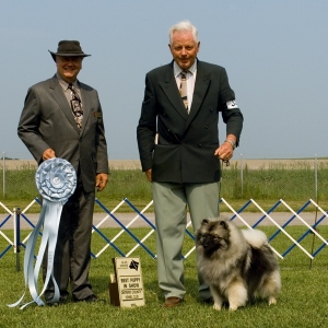 BPIS - Day 1, Keeshond