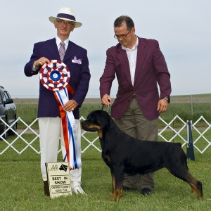 BIS - Day 2, Rottweiler