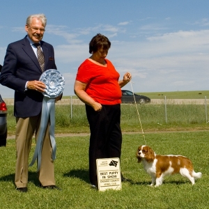 2008 Winners
