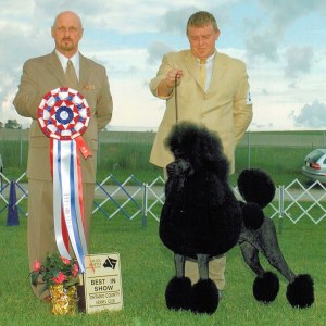 BIS - Day 2, Standard Poodle