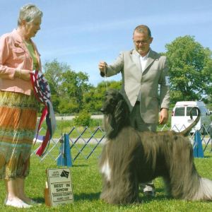 2010 Winners