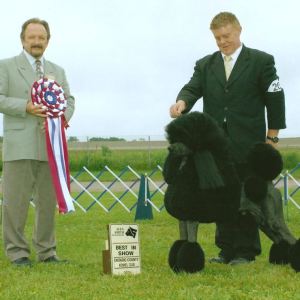 BIS - Day 2, Standard Poodle
