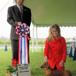 2011 Winners