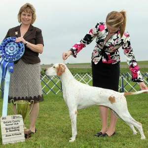 Best Overall Jr. Handler