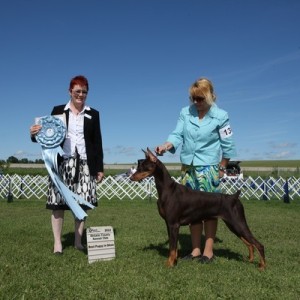 Best Puppy in Show 2013