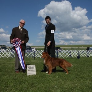 Best in Show 2013