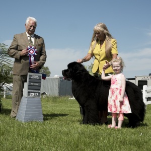 Best in Show Saturday - Newfoundland