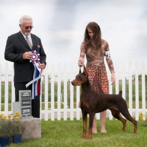 Best in Show Day 3