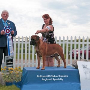 Best in Specialty Show