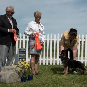 Best Baby Puppy in Show