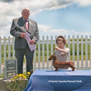 Reserve Best in Show - Day 1