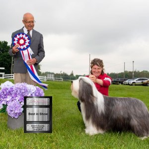 Best In Show Day 1
