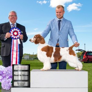 Best In Show Day 2