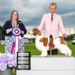 Best In Show Day 3